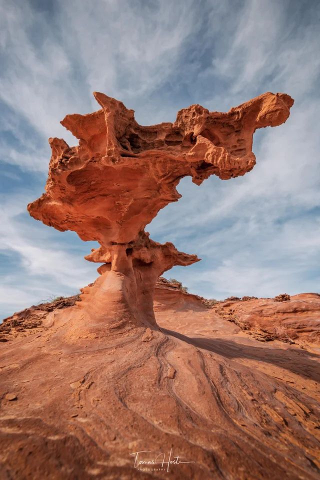 a stunning image of a sandstone rock formation in the shape of a mushroom, with a large, flat top and a slender stem. the rock is a beautiful orangered color, and the surrounding desert landscape is also red. the sky is a clear blue with white clouds, adding to the beauty of the scene. the photographer has captured the rock from a low angle, giving it a sense of grandeur and scale. the image is a testament to the power of nature and the beauty of the natural world.