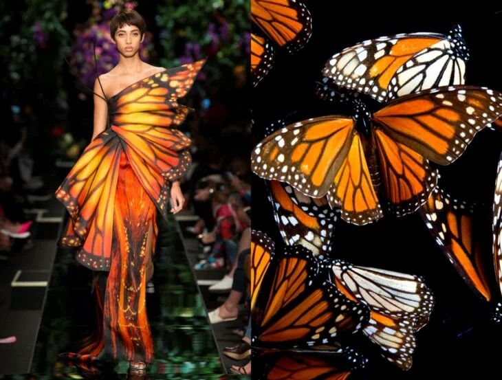 a fashion model walks the runway wearing a butterflyinspired dress. the dress is made of orange and black fabric, with intricate details that resemble butterfly wings. the model is walking confidently, and the dress flows beautifully as she moves. in the background, there are other models and guests watching the show. the image is a stunning example of fashion that is both beautiful and creative.