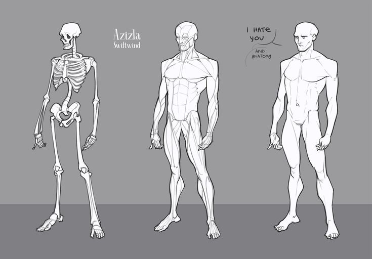 the image displays three figures, all presented in a grayscale style, seemingly for artistic reference.  on the left is a detailed drawing of a human skeleton, showing the bone structure from the head to the feet.  in the center, another figure illustrates the muscular system superimposed on a simplified human form, clearly outlining major muscles.  on the right, a simpler, more stylized figure is depicted, representing a naked human body with minimal detail.  text is included; the skeleton is credited to "azizla swiftwind," while the middle figure has text that says, "i hate you and anatomy," showing perhaps the artist's humor or frustration about the subject.  the overall style suggests a drawing meant for artists learning or studying human anatomy.