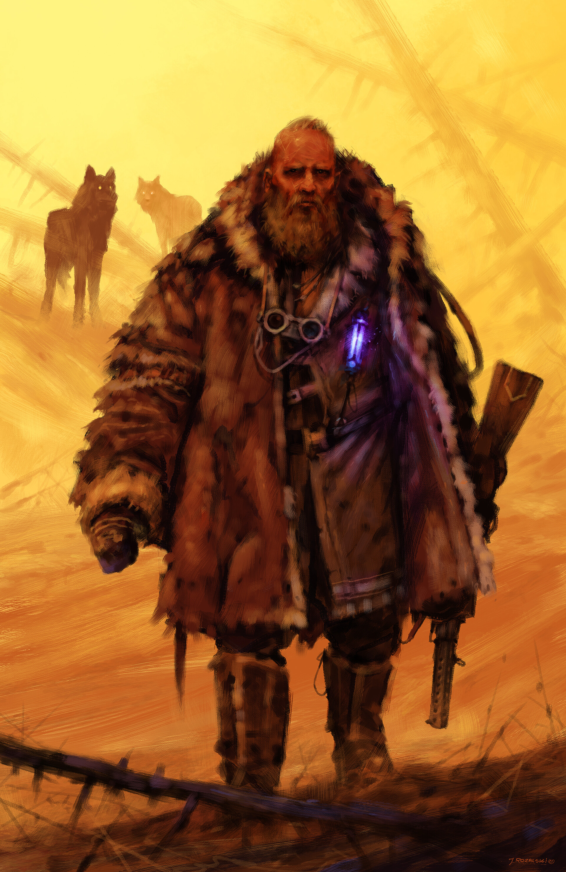 a bearded man with a fur coat is walking in the middle of a desert, holding a rifle in his right hand and walking through the dry desert landscape, two wolves follow him.  the man is clothed in a heavy fur coat, perhaps as protection from the cold or possibly just for the harsh environment. the man has a serious, grimm look on his face,  and the scenery suggests a barren wasteland. the yellow and orange sunset give the image a sense of gloom. the image has a sense of desolation and loneliness. it is likely a scene from a dystopian or postapocalyptic story.
