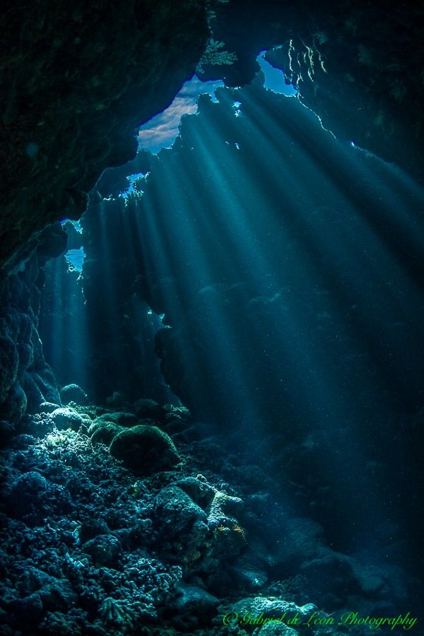 an underwater view inside a cave, with sunlight streaming through openings, illuminating the scene in shades of blue. the cave floor is covered in rocks and coral.