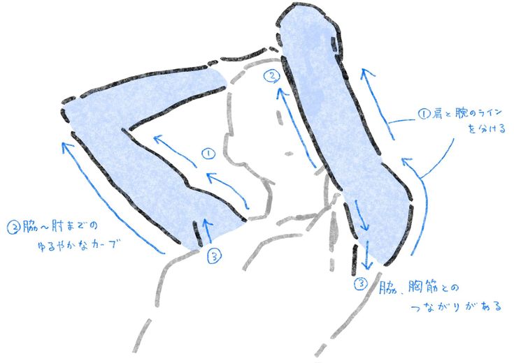 he image is a handdrawn illustration showing the anatomy of the human shoulder and arm, highlighting the muscles and their movements.  it's annotated in japanese, indicating the different parts and their interactions. the drawing uses light blue shading to indicate muscle groups and black lines to delineate the bones and areas of connection.  arrows illustrate the direction of movement and how different muscle groups work together.  the text describes the curve of the arm from armpit to elbow and the connection between the arm, chest muscles, and shoulder.