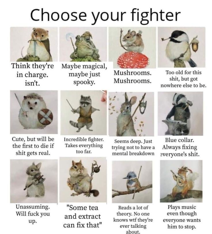 this is a "choose your fighter" meme image featuring various animals with different characteristics. each animal is presented as a potential "fighter" with a unique description. the animals include a hamster, frog, mouse, bird, hedgehog, raccoon, rabbit, badger, bunny, chipmunk. each animal has a short description about it.