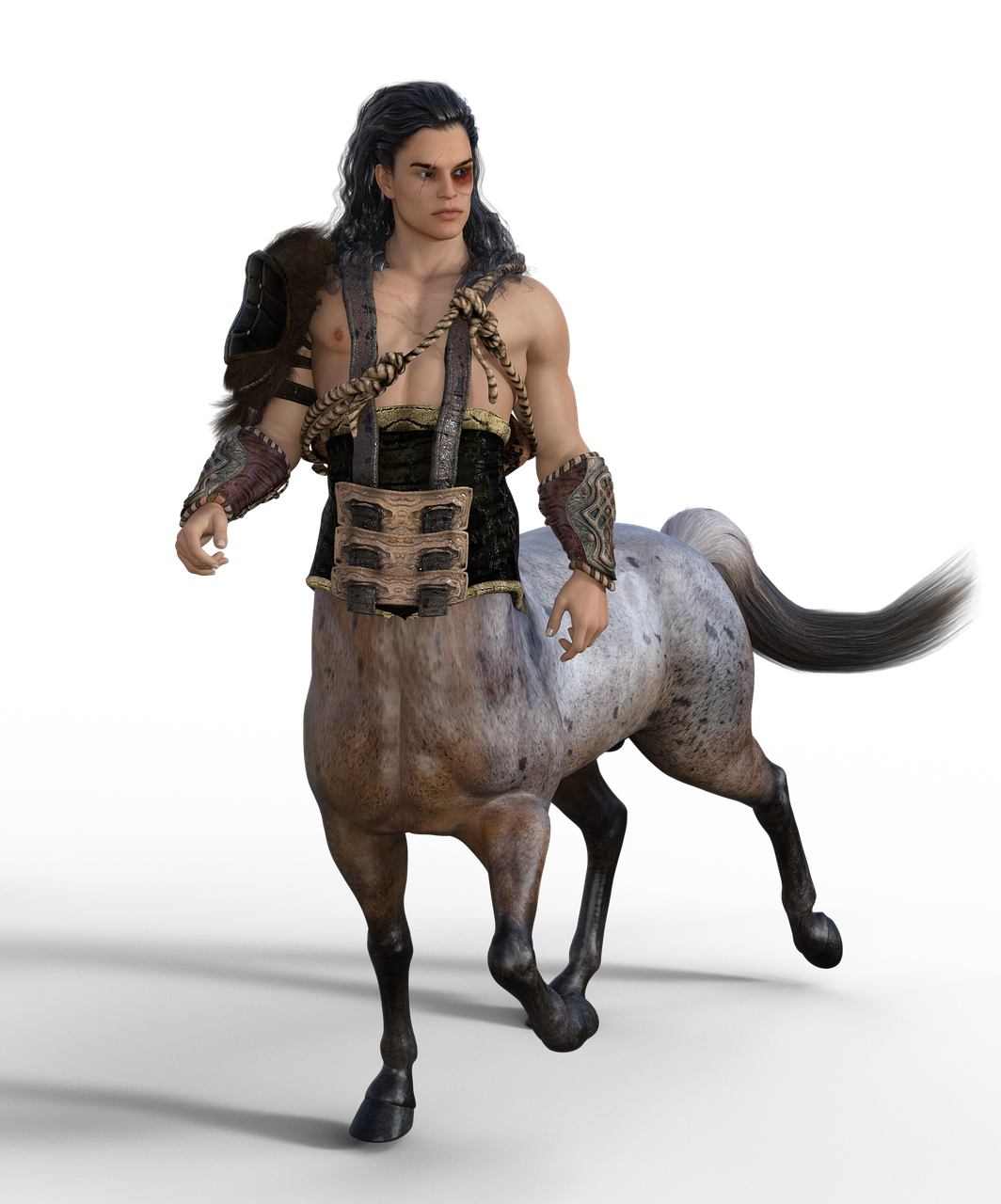 a centaur warrior with a black eye stands facing left. he has long black hair and wears leather armor on his shoulder and forearms. his torso is human, while his lower body is that of a dappled gray horse. he wears a decorative harness around his chest and waist. the background is solid black.