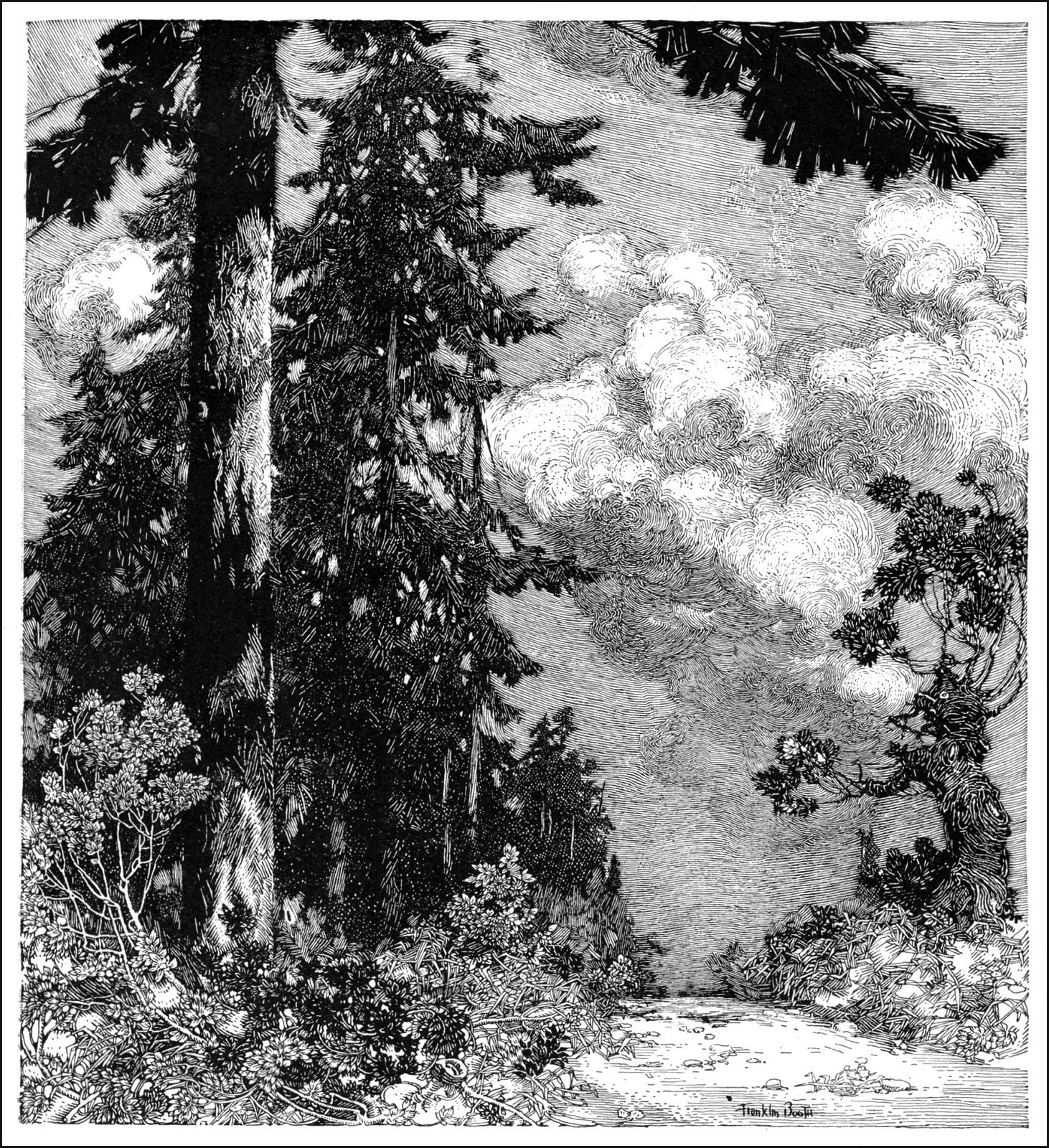 this is a black and white illustration, possibly a woodcut or engraving, depicting a serene forest scene.  dominating the left side are tall, dark coniferous trees, their needles densely rendered.  a path or stream winds through the scene toward the middle ground and gently curves out of the image. the sky above is filled with fluffy, detailed cumulus clouds, contrasting with the dark forest below. smaller bushes and shrubs add texture at the base of the trees and along the path's edges. the style is highly detailed and realistic, with fine lines used to create a sense of depth and texture in both the trees and the clouds. the artist's signature, "franklin booth," is visible in the bottom right corner.  the overall mood is calm and peaceful.