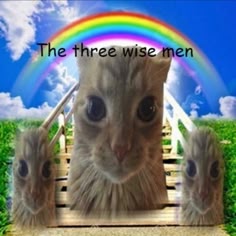 a cat with big eyes and a fluffy face is standing on a stairway to heaven with a rainbow and clouds above its head. the image is captioned "the three wise men" and the cat is positioned in the middle with two smaller catlike figures on the left and right of the image.