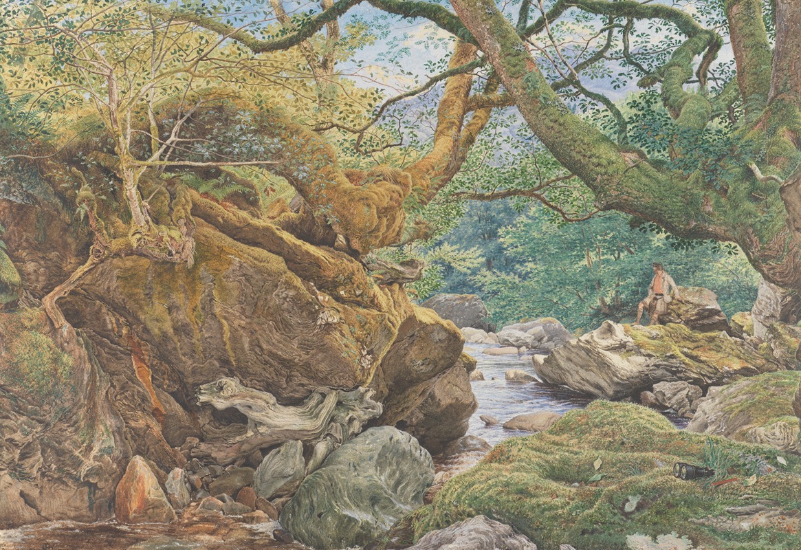 a detailed painting depicts a natural landscape featuring a river flowing through a forest. large, mosscovered rocks and trees with gnarled trunks and branches dominate the foreground. a man is seated on a rock in the midground, seemingly observing the surroundings. binoculars are placed on the ground near the viewer. the river meanders through the scene, with sunlight filtering through the dense foliage above. the overall impression is one of tranquility and natural beauty.
