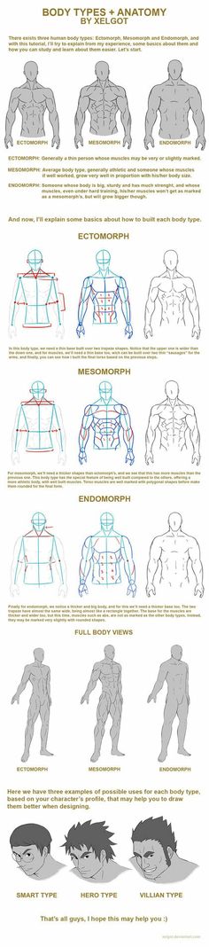 the image is a tutorial on how to draw different male body types. it shows the different muscle groups and how they are positioned on each body type. it also includes some examples of characters with different body types.
