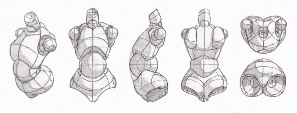 the image shows five different pencil sketches of simplified human torsos. each torso is constructed using basic geometric shapes like spheres, cylinders, and boxes to help understand the underlying form and volume of the human body. these sketches are commonly used as exercises for artists to improve their figure drawing skills and understanding of anatomy.