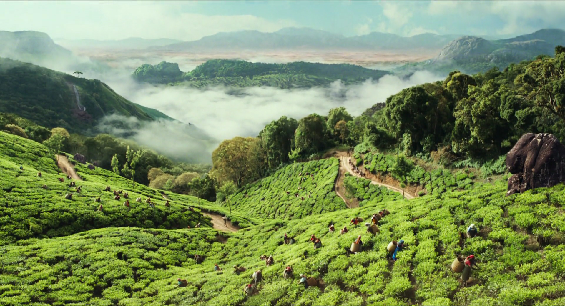 an aerial view of a tea plantation on a mountainside. the lush green hills are covered in rows of tea plants, and workers can be seen harvesting the leaves. the valley below is filled with fog, and the mountains in the distance are shrouded in clouds.