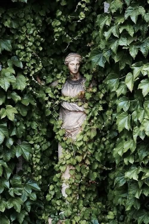 a weathered stone statue of a woman draped in classical clothing stands surrounded by thick green ivy. the ivy covers much of the statue, giving it the appearance of emerging from the foliage. the leaves are dense and verdant.