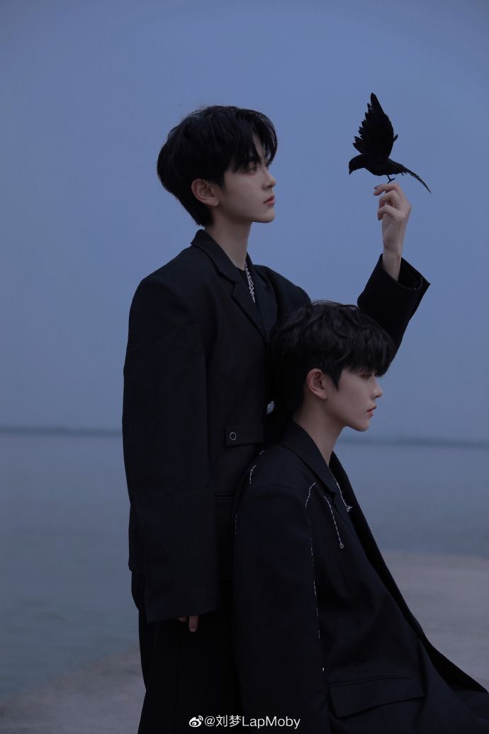 this captivating image features two young men, impeccably dressed in sleek black attire, positioned against a serene backdrop of a twilight beach. the taller man, with his back slightly turned towards the camera, delicately balances a black bird on his raised index finger. his companion, seated slightly in front, gazes off into the distance with a contemplative expression. the soft, natural light of the fading day casts a gentle glow on their faces, highlighting their youthful features.  the overall mood of the image is one of quiet contemplation and subtle elegance, accentuated by the symbolic presence of the bird.