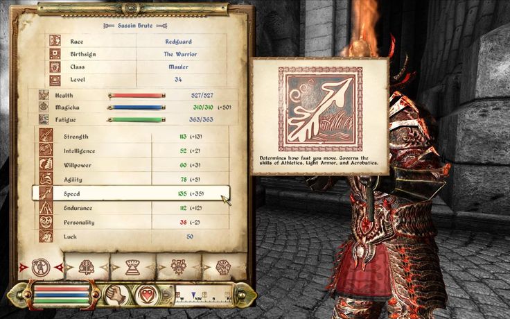 the image shows a character sheet from the game the elder scrolls iv: oblivion. the character is a redguard warrior, level 34, with high stats in agility, speed, and endurance. the character has a high level of light armor and acrobatics, which are indicated by the "a" on the sheet. the character is holding a quest objective in their left hand. the image is taken from an ingame perspective.