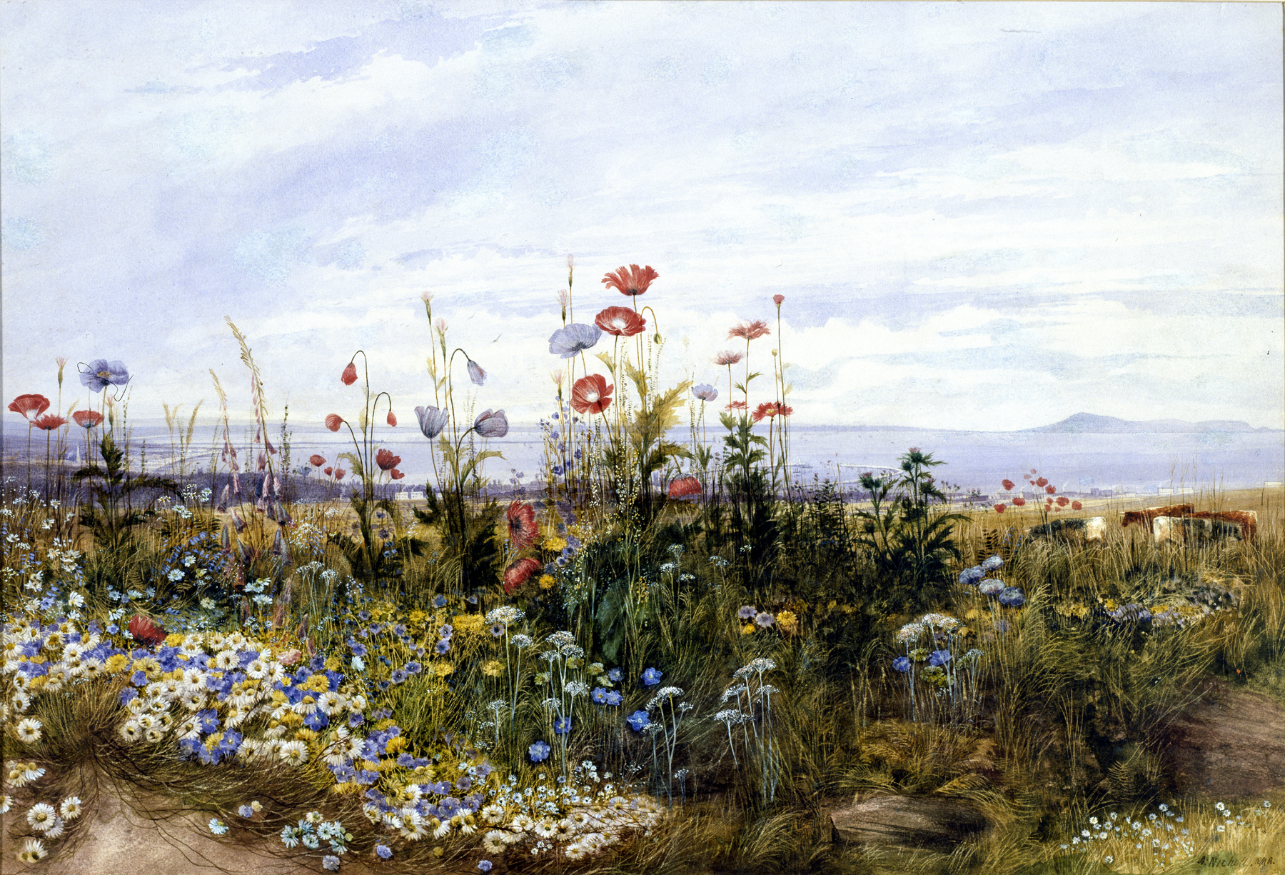 the image is a watercolor painting of a field of wildflowers in a landscape setting. poppies and daisies are prominent, with a mix of red, blue, white, and yellow blooms. the background shows a slightly overcast sky with a visible horizon line. there is grass and other plants in the foreground, suggesting a meadow or natural field. the overall impression is a serene and colorful depiction of nature.