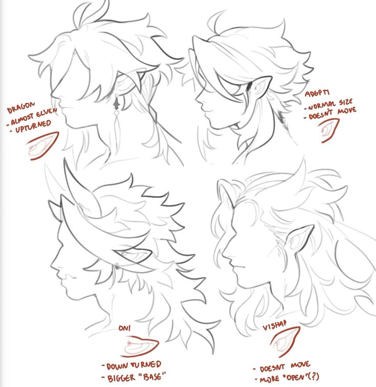 the image presents four different sketches of character heads in profile view, each depicting a unique ear type associated with a specific fantasy creature or being.  each sketch is labeled with the creature's name (dragon, oni, vishap, adept) and key features of the ear's shape and movement. the style is clean line art, likely a concept art piece or tutorial demonstrating stylistic ear variations for character design.  the sketches showcase varying degrees of ear point, size, and placement in relation to the head, demonstrating thoughtful design choices.