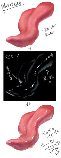this image shows a stepbystep guide on how to draw a tongue. the first step is to sketch a basic outline of the tongue. the second step is to add the light and shadow. the third step is to add the highlight. the final step is to add the color. the image is a digital drawing.