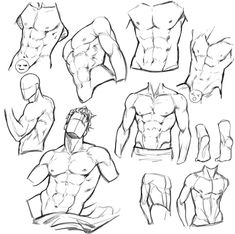 this is a black and white sketch page featuring studies of the male torso musculature.