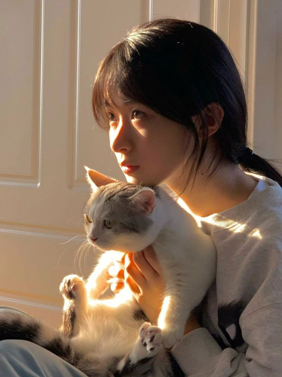 a young woman sits in a sundrenched room, cradling a grey and white cat in her arms. the cat appears relaxed and comfortable, while the woman gazes thoughtfully into the distance. the warm sunlight creates a peaceful and serene atmosphere.