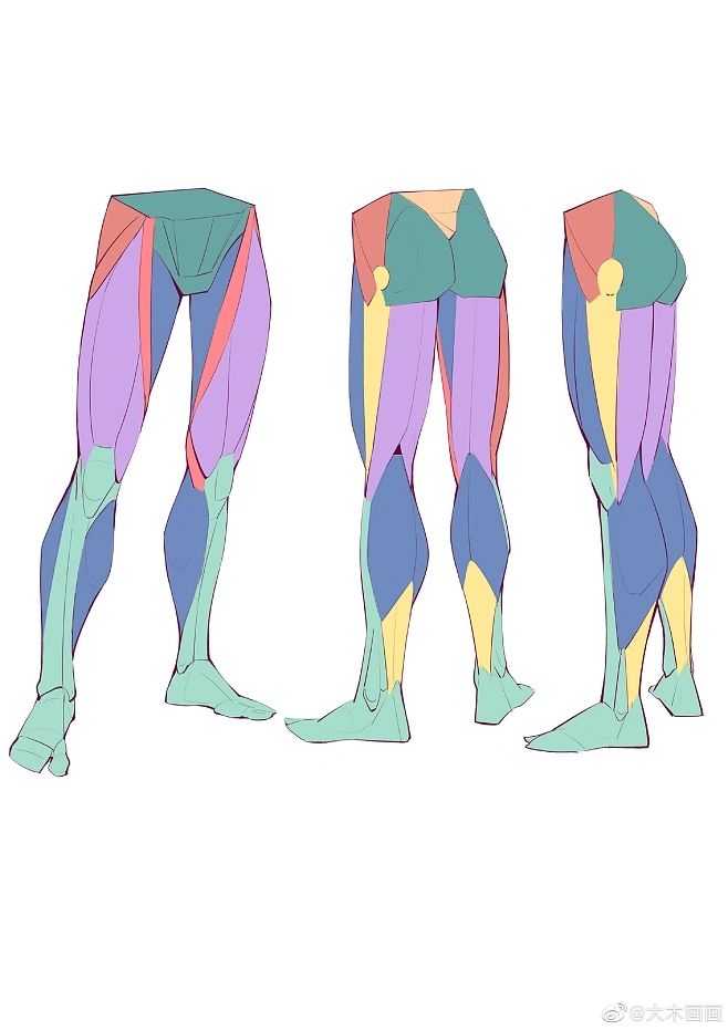 the image shows a stylized illustration of human leg muscles from three different perspectives: a front view, a threequarter view, and a back view.  the muscles are colorcoded for easy identification and understanding of their placement and form.  the style is clean and simple, making it suitable for art students or anyone interested in studying human anatomy for drawing purposes. the overall color palette is pastel.