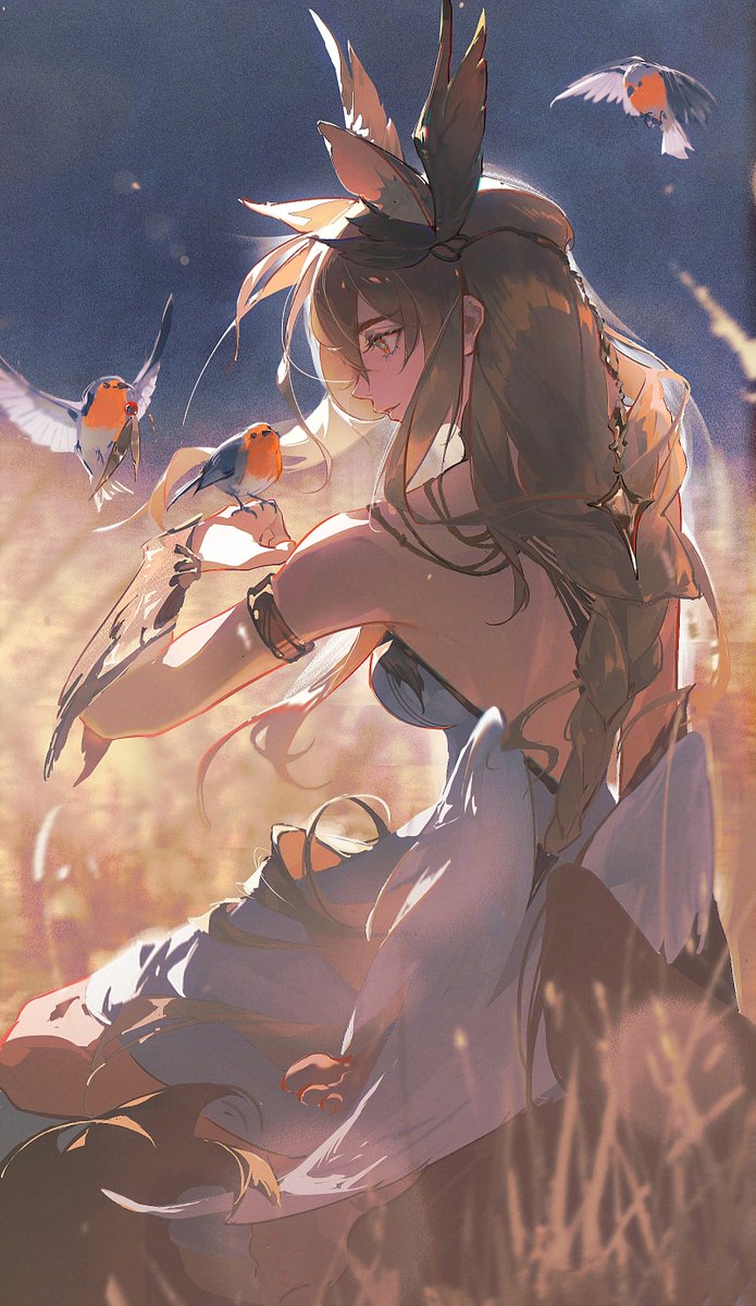 a young woman with long flowing hair and a feathered headdress sits in a field at sunset, her back to the viewer. she is surrounded by three small birds, two in flight and one perched on her hand. the warm, soft lighting creates a serene and magical atmosphere.