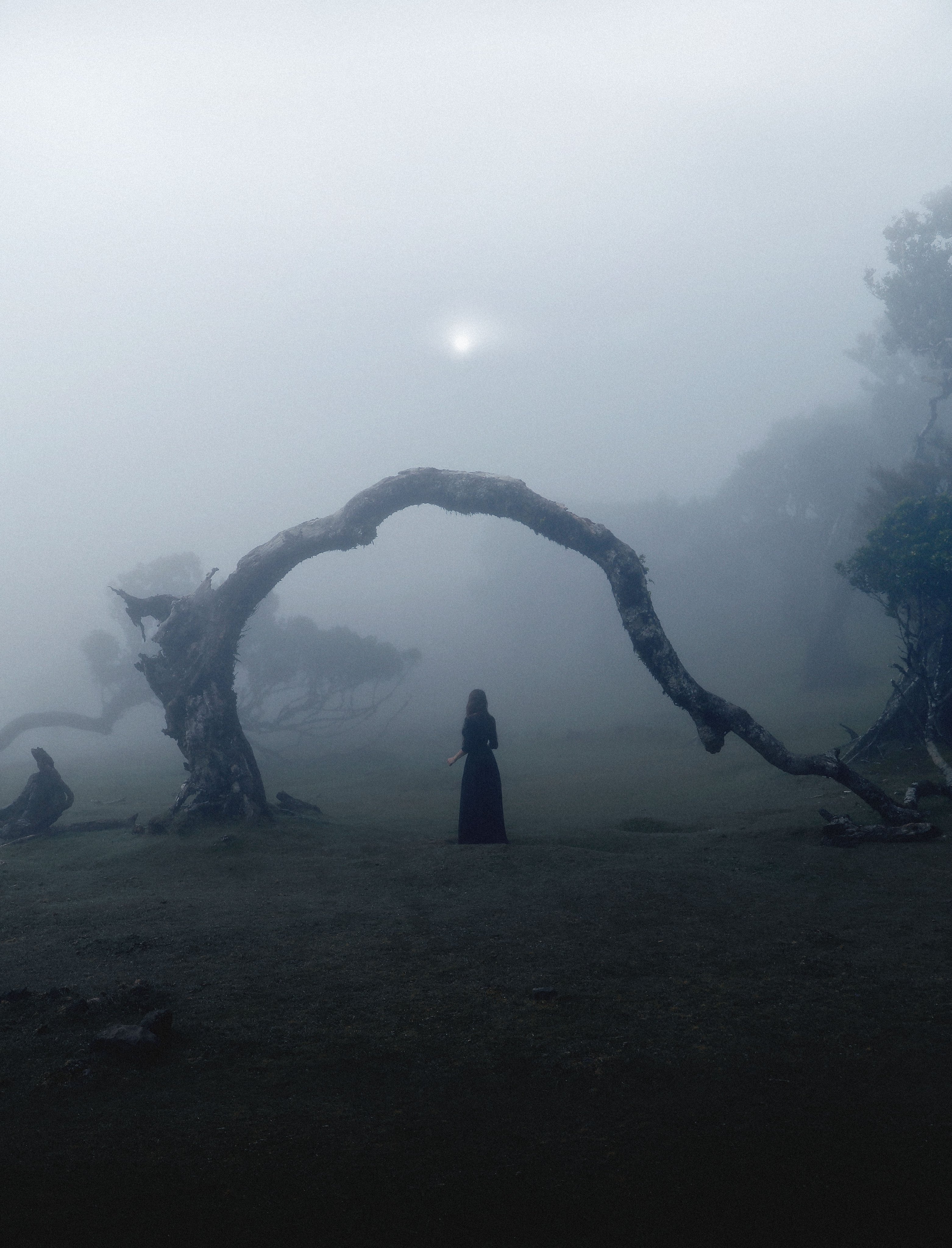 a woman in a long black dress stands beneath a naturally formed archway made by a gnarled, leafless tree. the surrounding forest is shrouded in a thick, ethereal fog that obscures all but the faintest hint of a pale sun (or moon) high above. the overall atmosphere is one of mystery and tranquility.