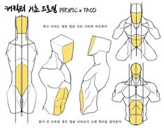 the image is a black and white anatomical drawing of a male torso, divided into simplified shapes to aid in understanding muscle groups and proportions. there are multiple views of the torso from different angles, including front, side, and 3/4 views. the image appears to be a tutorial or reference for artists learning figure drawing.