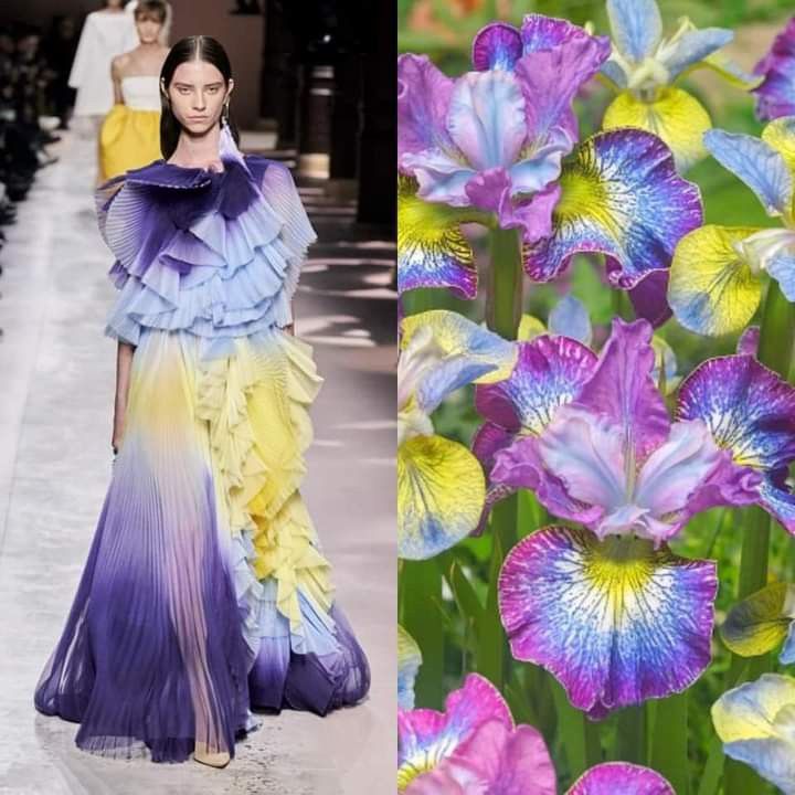 the image shows a fashion model walking down a runway wearing a beautiful, flowing dress. the dress is a blend of purple, yellow, and white, and its design is reminiscent of a flower. the model is surrounded by a backdrop of stunning irises in shades of purple, yellow, and blue. the image captures the beauty and elegance of high fashion and the natural world, creating a harmonious visual experience.