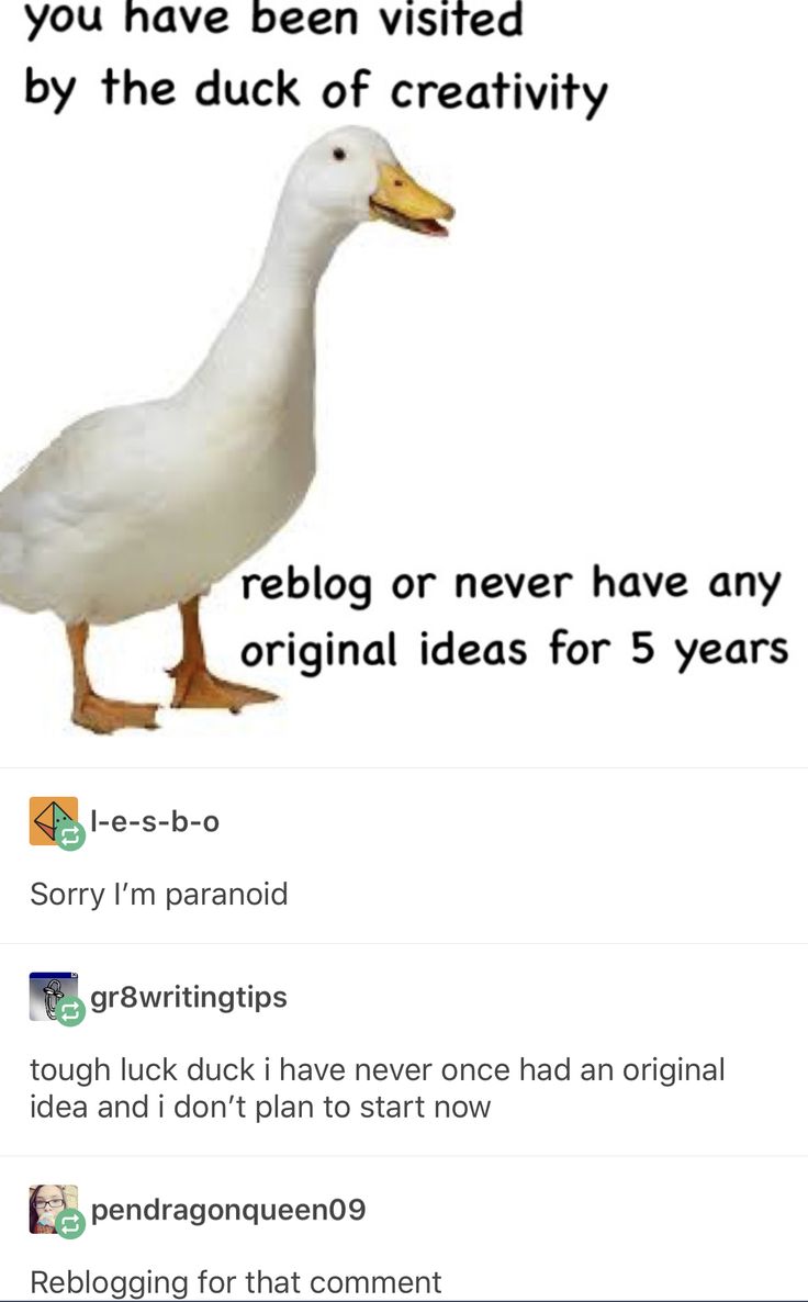 the image is a meme featuring a white duck looking to the right. the text above the duck reads, "you have been visited by the duck of creativity."  the text below the duck reads, "reblog or never have any original ideas for 5 years".  the meme is humorous and ironic, suggesting that if you don't reblog the meme, you will be cursed with a lack of creativity for 5 years.