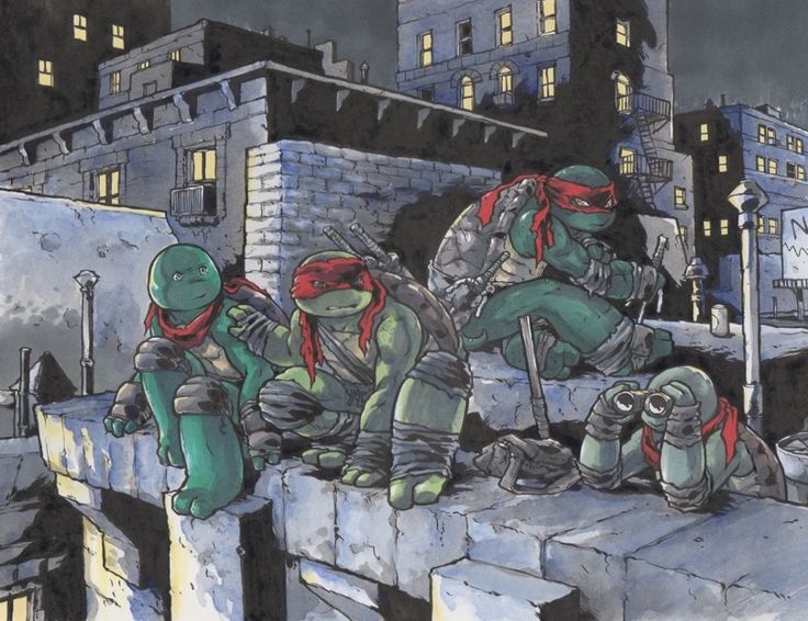 this image depicts the teenage mutant ninja turtles on a rooftop in new york city at night. the turtles are all dressed in their signature green and red uniforms, and are armed with their signature weapons. the image is drawn in a cartoon style, and features bold lines and vibrant colors. the scene is full of action, and the turtles look ready to fight. the backdrop features a sprawling cityscape under a starry night sky, with several buildings and streets visible.
