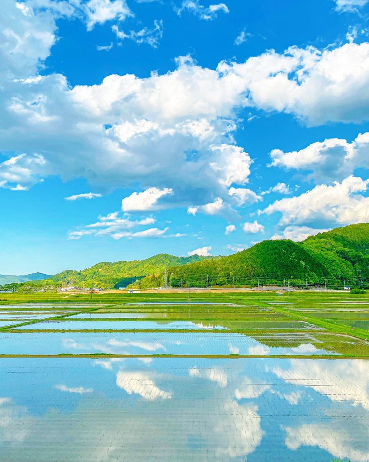the image shows a landscape featuring rice fields, mountains, sky, and clouds. the rice fields are flooded with water, creating a mirrorlike reflection of the sky and clouds above. the mountains are green and lush, providing a backdrop to the rice fields. the sky is blue with fluffy white clouds. the overall impression is one of peace and tranquility in a rural setting.