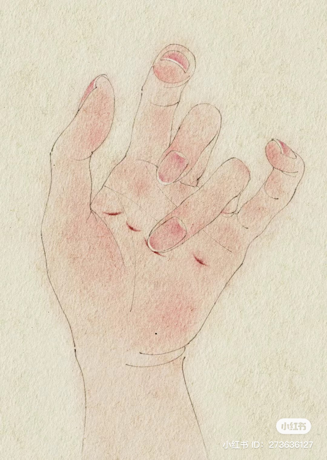 a drawing of a left hand with the index, middle and ring fingers extended. the pinky finger is tucked down towards the palm. the drawing is done in shades of pink and peach against a light cream background.