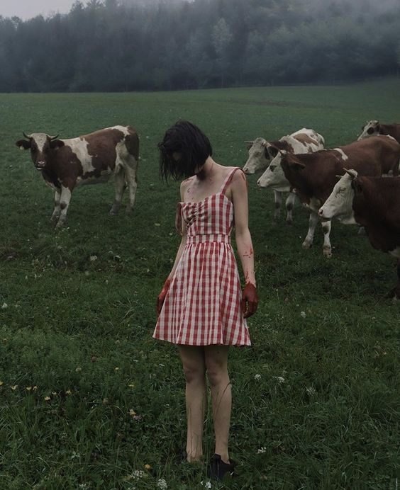 a young woman in a red and white checkered dress stands in a field with several cows behind her. the woman is facing forward with her head down, and her dark hair obscures her face. she has on white gloves, and her right hand is slightly raised. the overall atmosphere of the image is dark and somewhat eerie, with a muted color palette and overcast sky.