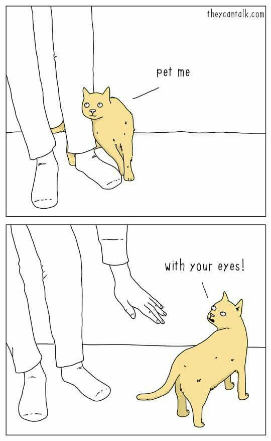 a twopanel cartoon shows a cat standing near a person's legs in the top panel and saying "pet me." in the bottom panel, the cat is standing further away and saying "with your eyes!" the person's hand is outstretched.