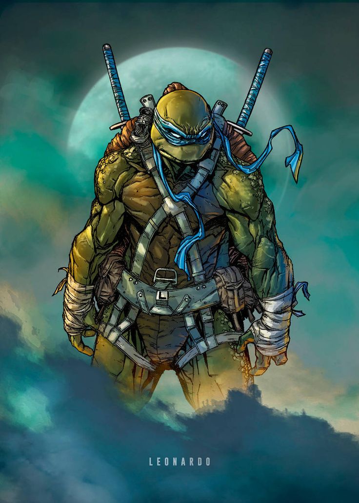 this is an illustration of leonardo, one of the teenage mutant ninja turtles. he is depicted as a humanoid turtle with a blue mask and bandana. he is wearing a grey utility belt and has two katana swords strapped to his back. he is standing in a fighting pose, with a serious expression on his face. the background is a night sky with clouds and a full moon.