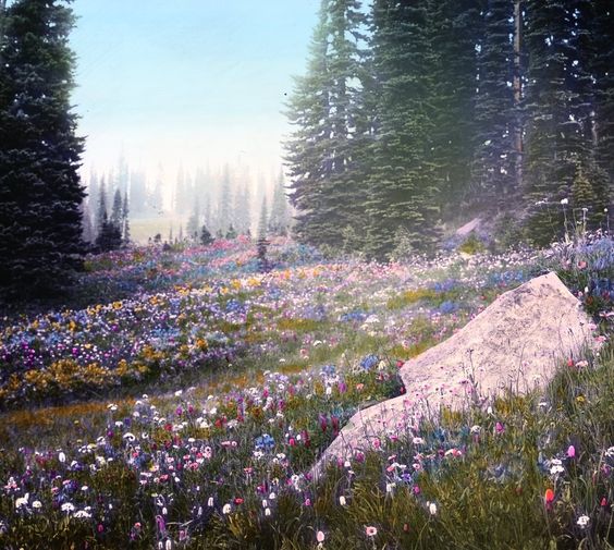 this is a landscape image of a wildflower meadow in the forest. there are many different colored wildflowers blooming in the meadow. in the background, a coniferous forest stretches towards the horizon. tall pine trees stand on either side of the meadow, casting long shadows in the soft, diffused light of the day. a large, mosscovered boulder sits in the foreground, adding a sense of depth and scale to the scene. the overall atmosphere is peaceful, serene, and evocative of the beauty of nature.