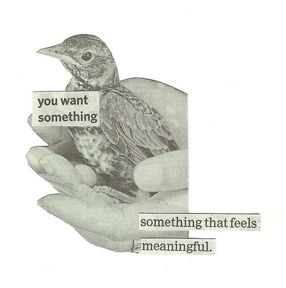 a black and white image of hands holding a small bird. text above the hands reads "you want something" and below the hands "something that feels meaningful."