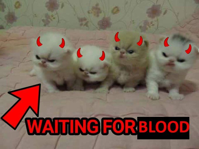 a group of four adorable kittens with red devil horns are sitting on a pink blanket, looking directly at the camera. they are looking mischievous and playful, and the text "waiting for blood" is written at the bottom of the image. the image is a humorous and lighthearted meme.