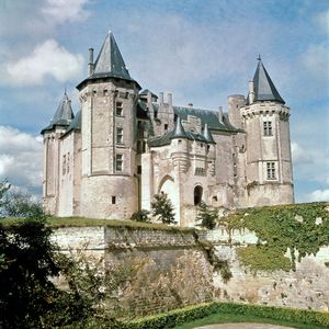 a majestic castle, crafted from pale stone, sits atop a grassy knoll. its multiple towers, each capped with a dark, pointed roof, pierce the clear blue sky. the castle is partially obscured by lush greenery, with a verdant lawn stretching out in the foreground. the scene is bathed in the warm, natural light of a sunny day, lending the image a sense of tranquility and grandeur.