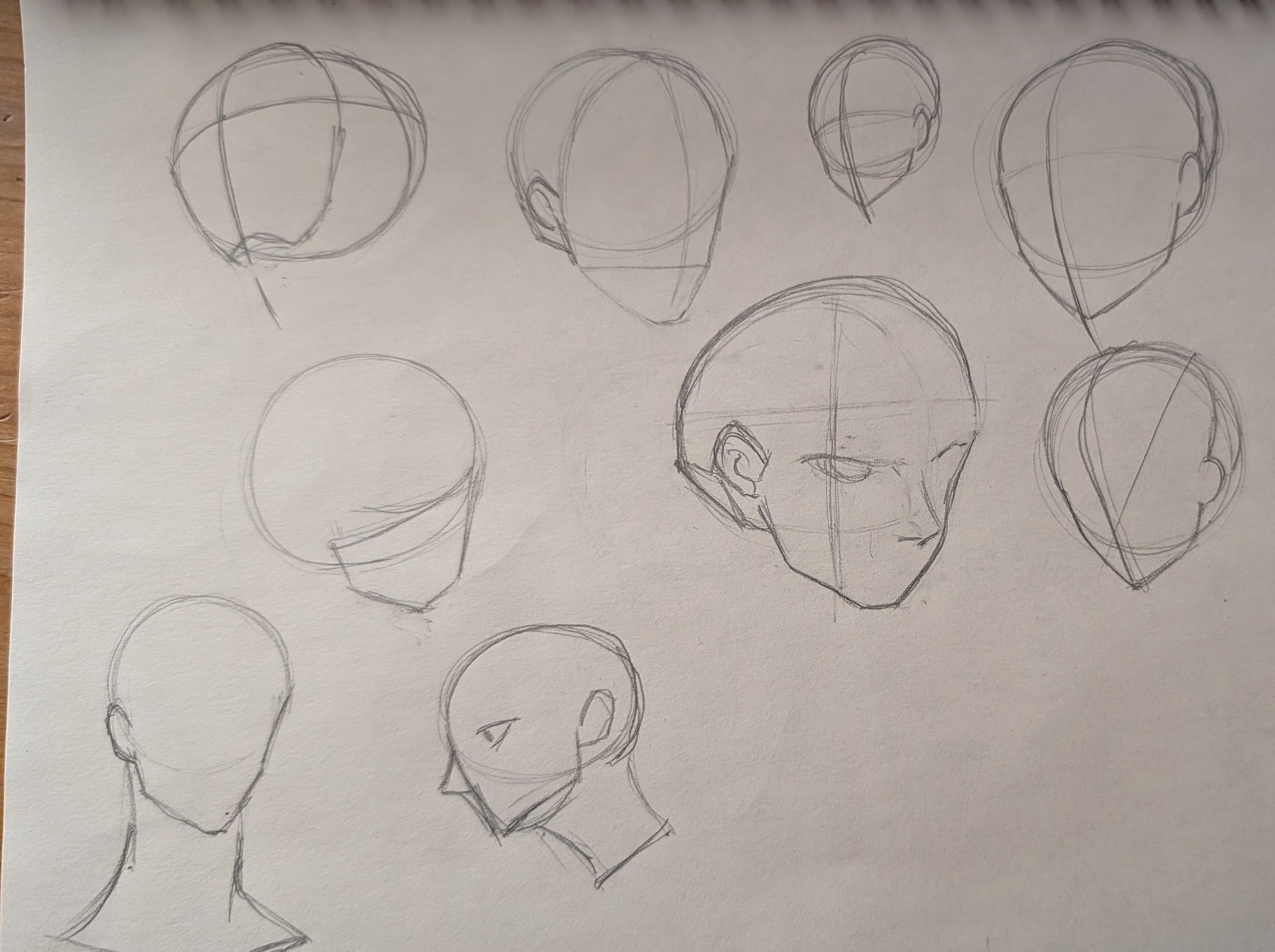 he image shows a collection of pencil sketches focusing on head construction and various angles.  multiple head drawings are presented in different views, ranging from simple circular forms to more detailed sketches that incorporate facial features and basic guidelines for proportion.  the sketches appear to be practice work, demonstrating an exploration of head shapes and perspectives. the style is relatively simple and focuses on fundamental drawing techniques.
