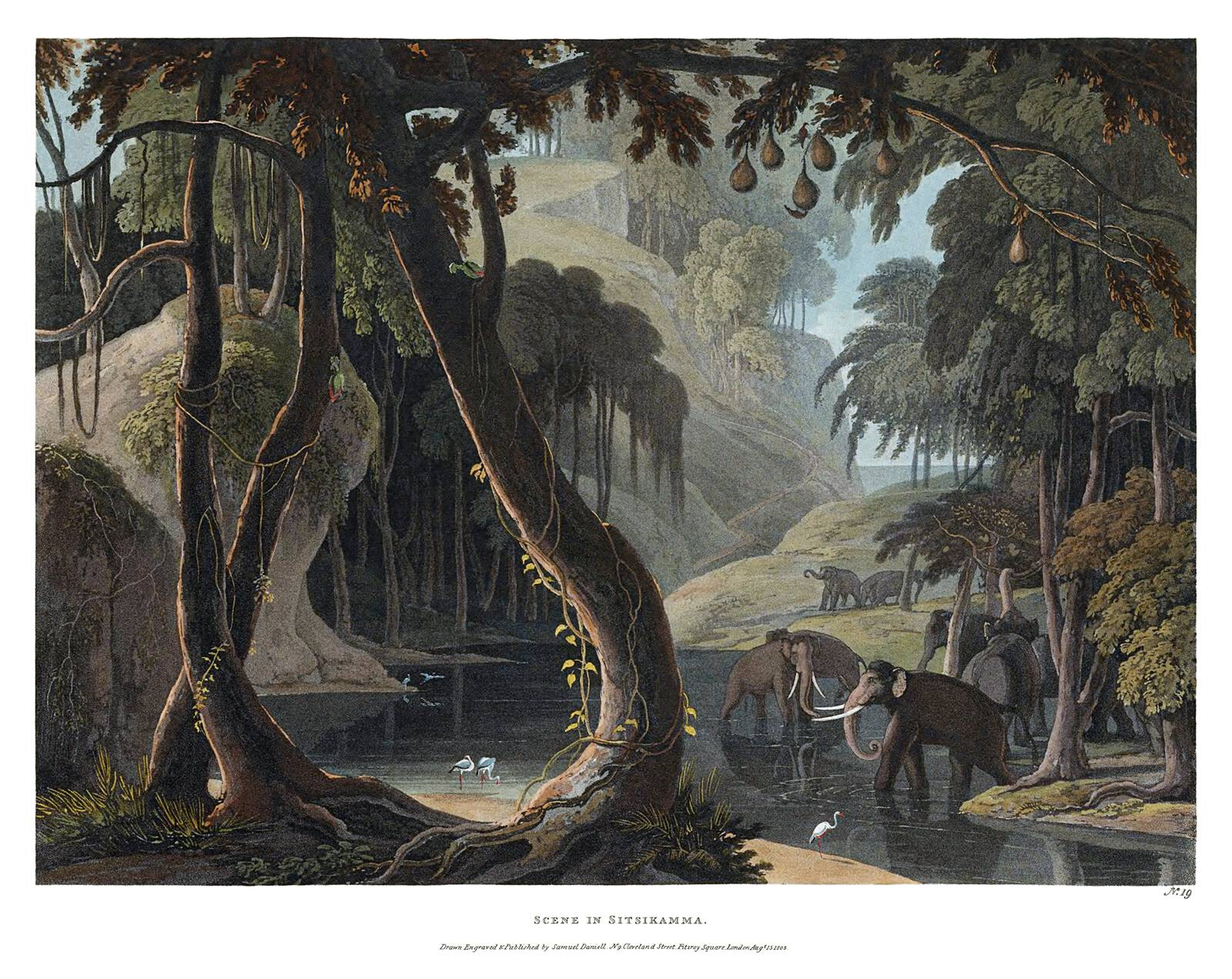 the image is a vintage painting depicting a scene in sitiskamma. it features a tropical jungle landscape with elephants wading through a river. the painting shows lush foliage, tall trees, and various types of birds near the water. the scene exudes a sense of wilderness and natural beauty, capturing an exotic and serene environment.