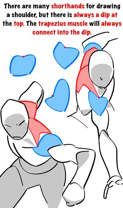 he image is an instructional illustration demonstrating how to draw a shoulder using simplified shapes. the text explains that while there are many ways to shorthand a shoulder, there’s always a dip at the top where the trapezius muscle connects.  the illustration uses simplified shapes (like hearts and ovals in blue and red) overlaid on a line drawing of a human figure to highlight the placement and connection of the trapezius muscle to the shoulder.  the simplified shapes are meant to be a guide for artists to understand the underlying anatomy before adding further detail.
