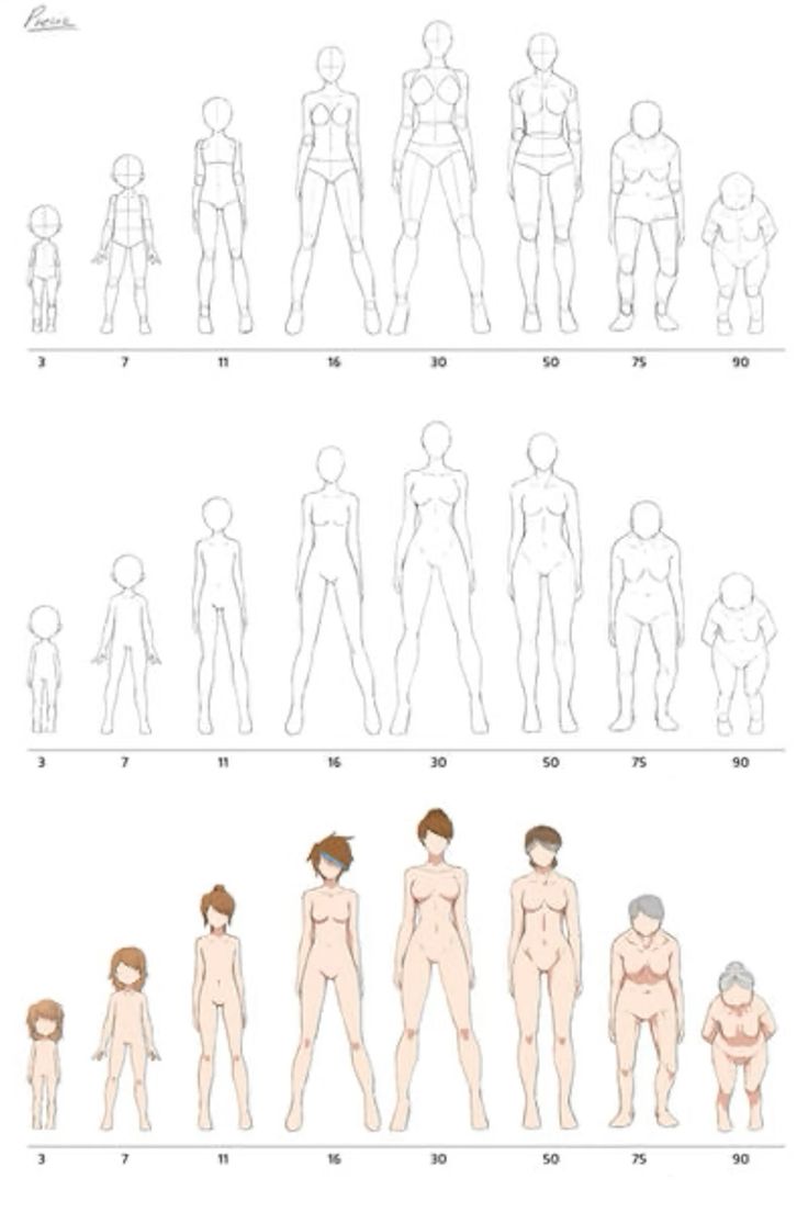 this is a drawing of female body proportions for artists, illustrating different sizes and shapes of women in nine different sizes, from 3 to 90.  it's a useful reference for artists to study how to draw different body types and sizes.