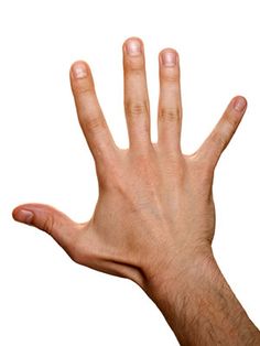 a right hand with fingers spread open is held up against a white background. the hand appears to be that of a male with light skin and light brown hair on the arm.