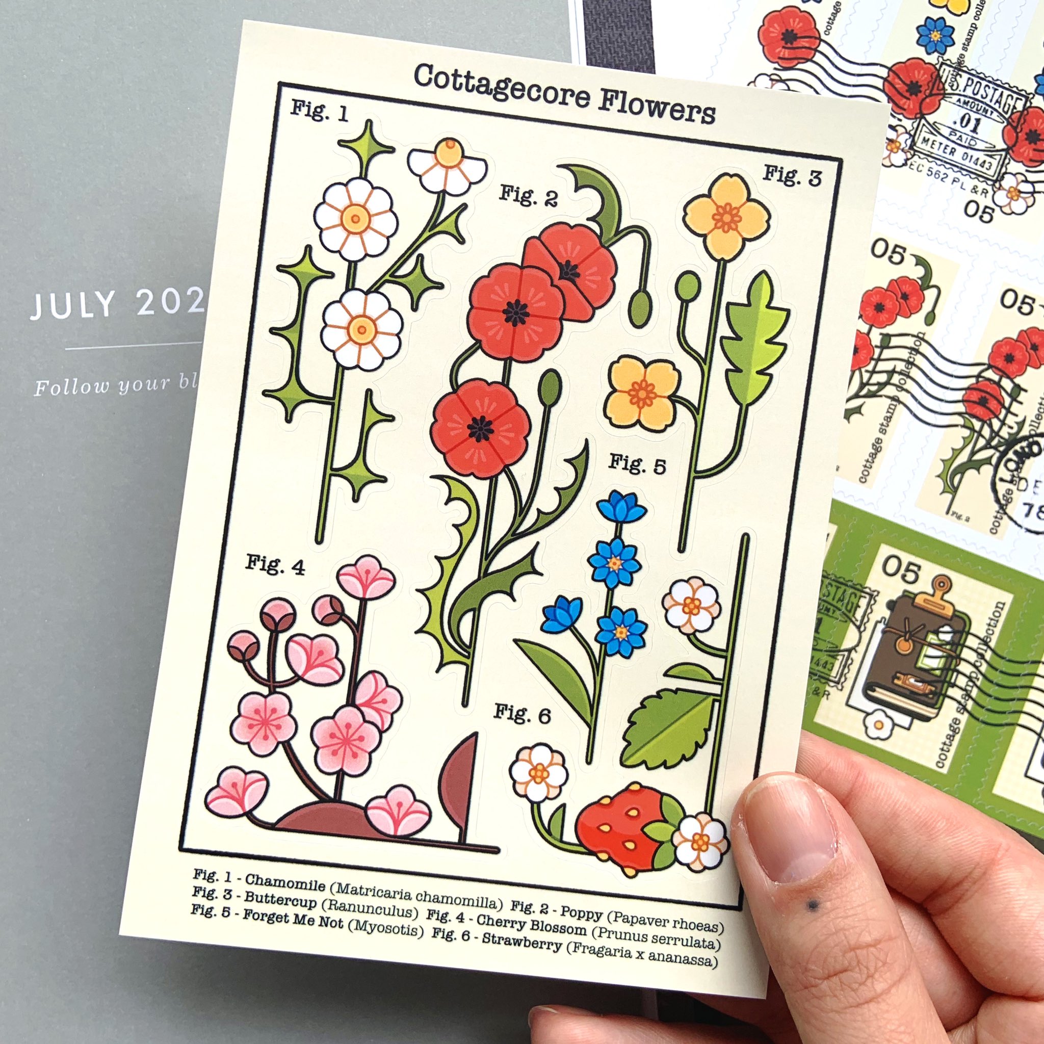 a hand holds a postcard with a vintagestyle botanical illustration of six different cottagecore flowers, accompanied by their common and scientific names. a sheet of postage stamps featuring poppies and vintage suitcases is partially visible on the right side of the image.