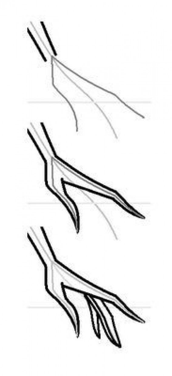 the image shows a stepbystep drawing guide for a hand. it presents three stages: the initial sketch of the arm and finger shapes, followed by adding detail to the first finger, and completing the other fingers with sharp, pointed ends. the image is in black and white.