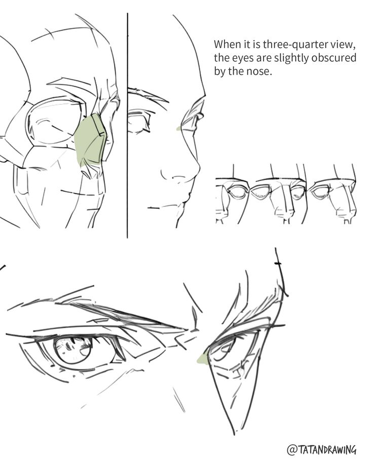 the image is an art tutorial focusing on drawing the human face in a threequarter view.  it features several sketches illustrating how the position of the nose affects the visibility of the eyes. the first part shows a detailed anatomical sketch of the head, highlighting the relationship between the eye sockets and the nasal bridge. the second section shows several examples of threequarter views to demonstrate how the nose partially obscures the eyes in this perspective. the final section is a closeup detail of an eye showing more advanced shading and rendering techniques. the artist's instagram handle, @tatandrawing, is present in the bottom right corner.