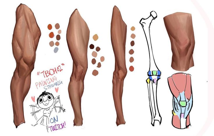 the image is a sketch showing how to draw a muscular leg from the side view. it includes details on muscle structure, bone placement, and joint articulation. a color palette is also provided with various skin tones.