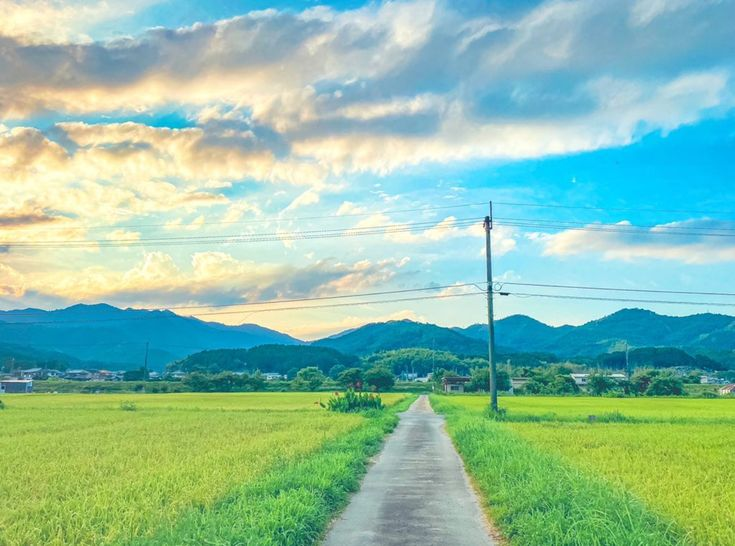 the image captures a serene countryside scene with a paved road leading straight through a lush green field. a utility pole stands beside the road. in the background, gentle mountains meet the horizon, beneath a sky filled with clouds tinged with the colors of the setting sun. the landscape features an agricultural field, likely a rice field, adding to the rural charm of the scene.