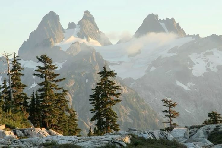 the image showcases a breathtaking mountain landscape featuring rugged, snowcapped peaks enveloped in a misty haze. in the foreground, a scattering of coniferous trees stands against a rocky terrain, adding depth and texture to the scene. the soft, diffused light creates a serene and ethereal atmosphere, emphasizing the grandeur of the natural environment.