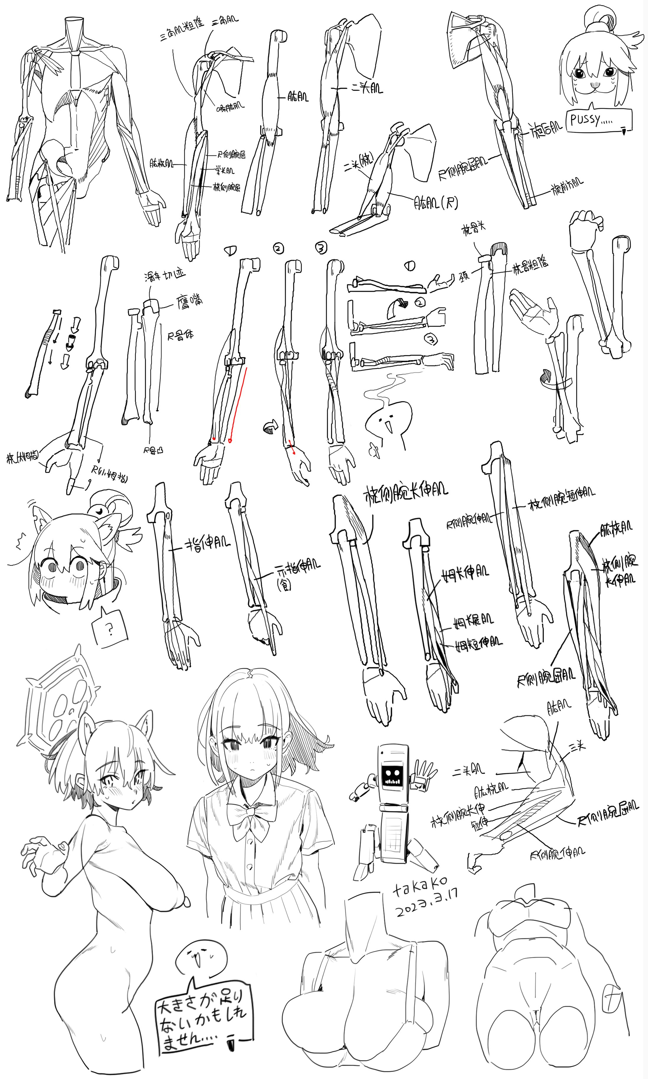 the image contains several anatomical diagrams and sketches, focusing on the human arm, as well as some animestyle drawings of characters. the sketches include detailed annotations in japanese. there's a mix of diagrams illustrating muscles and bone structures, alongside character drawings with varying levels of completion, and some additional sketches related to body parts.